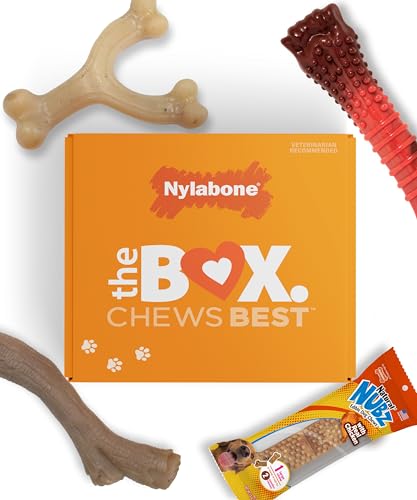 Nylabone Dog Gift Box, Strong Chew Toys & Treat, Large, 4 Count - size: Large (4 Count)