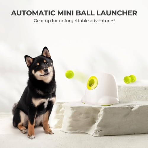 ALL FOR PAWS Automatic Dog Ball Launcher, Interactive Fetch Toy for Small to Medium Dogs, Pet Thrower Machine for Indoor & Outdoor Play, 3 Pcs 2-Inch Balls Included - size: 2-inch ball launcher