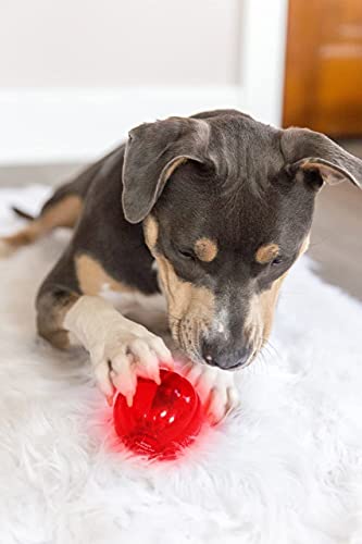 Pet Qwerks Blinky Babble Ball - Flashing Interactive Dog Toy - Large - size: Large, style: Blinky Babble