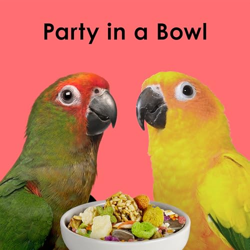 Kaytee Fiesta Conure Bird Food, Nutritious Fun Blend, 4.5 Pounds