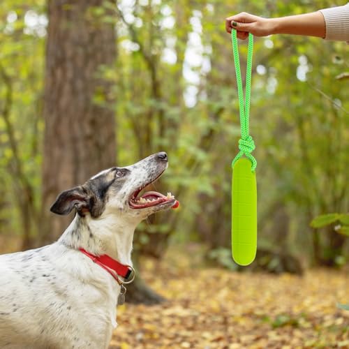 PUPTECK Interactive Dog Pool Toys Water Floating Toys Fetch Training Bumpers 2 Pack, Blue & Green - color: Blue & Green