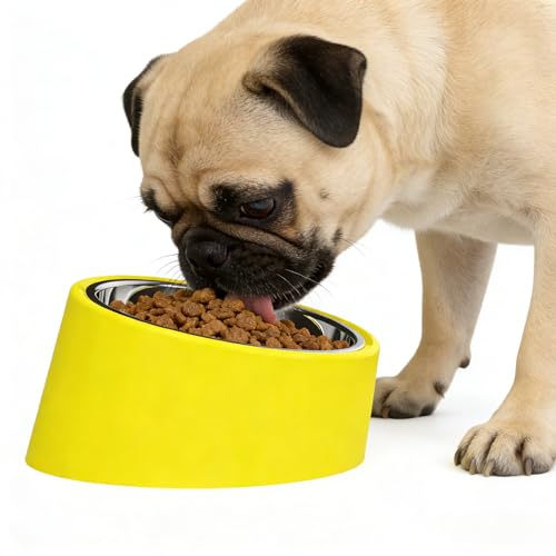 15° Tilted Slow Feeder- Non-Spill & Non-Slip Stainless Steel Dish for Small & Cats - color: Yellow, size: L