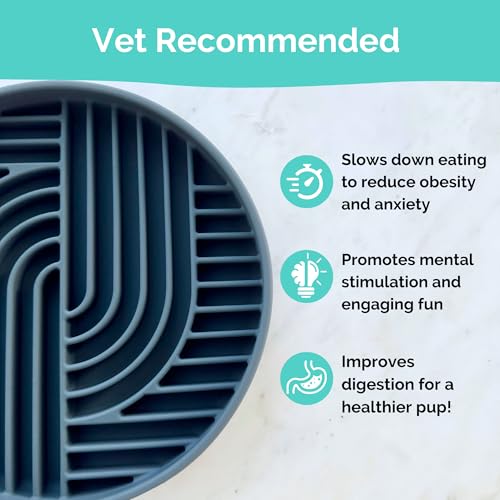 Gray Silicone Slow Feeder Bowl for Dogs, Cats and Pets by Stella and Bear Co. - color: Gray