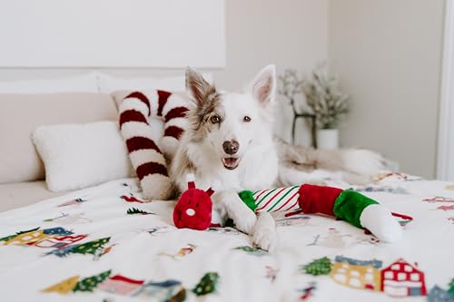 ZippyPaws Holiday Caterpillar Dog Plush Squeak Toy - size: One Size - Christmas