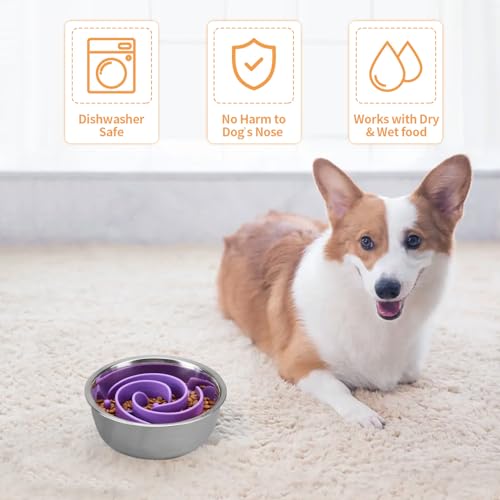 Slow Feeder Dog Bowls Insert, Bestalk Soft Silicone Slow Eating Feeder Insert with Suction Cups for Small, Medium and Large Dogs, Fit into Basic and Elevated Bowls - color: Purple, size: L
