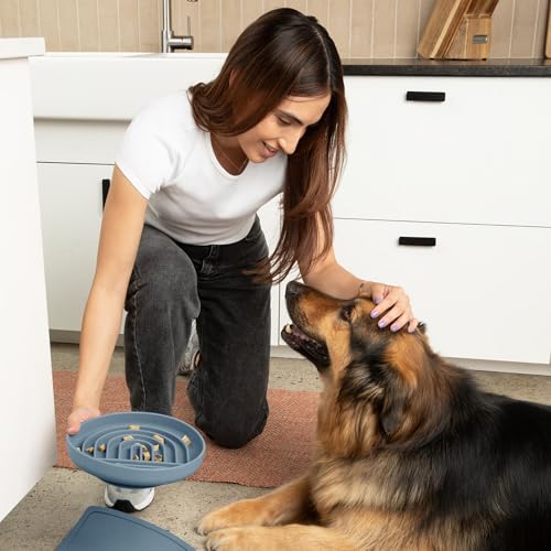 Slow Feeder Dog Bowl - Silicone Dog Bowl, Large, 9.5" x 1.5" - Ocean - color: Ocean - Rainbow Design, size: Large (9.5” Across and 1.5” Tall)