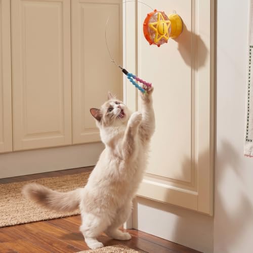 Interactive Cat Treat Toy