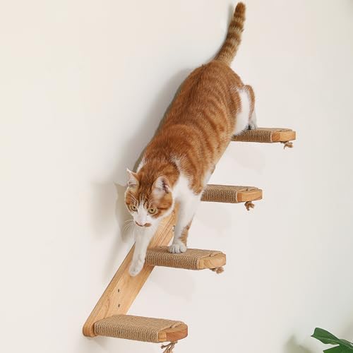 FUKUMARU Cat Climbing Shelf Wall Mounted, Large - size: Large - Bidirectional