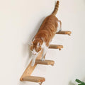 FUKUMARU Cat Climbing Shelf Wall Mounted, Large - size: Large - Bidirectional