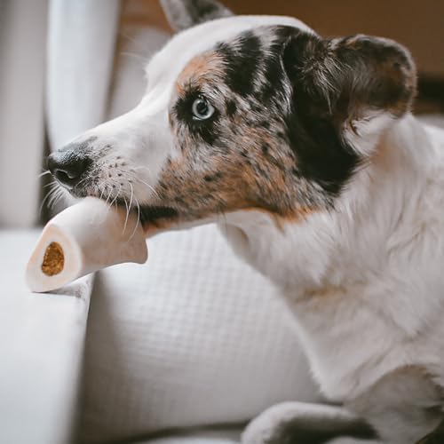 Cadet Stuffed Shin Bones for Dogs, Peanut Butter Flavor, Small, 3 Count - size: 3 Count (Pack of 1)