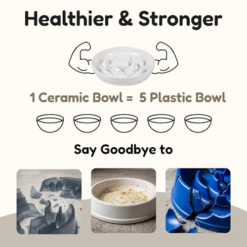 Ceramic Cat Slow Feeder Bowl - 6.2'' Whisker Friendly Cat Plate for Dry and Wet Food -Heavy Puzzle Feeding Bowl for Slow Eating - Helps Reduce Vomiting - Microwave & Dishwasher Safe -Non Slip - White - color: White