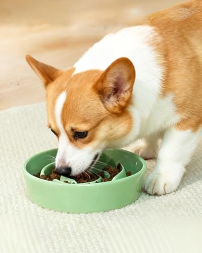 TRUVIC Ceramic Slow Feeder Dog Bowls, 1.5 Cup Puzzle Slow Feeder Bowls for Fast Eaters, Ceramic Dog Food Dish no Black Chin, Puzzle Bowl for Medium Dogs, Green - color: 04-Green, size: M-1.5 Cups