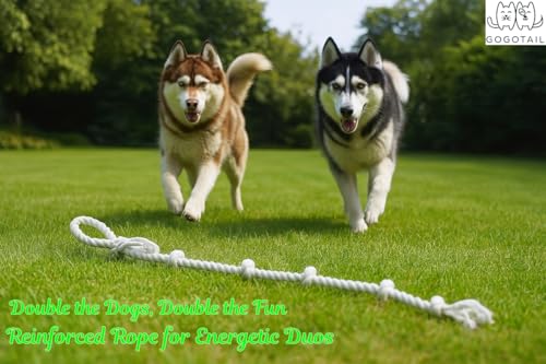 51" Extra Long Dog Rope Tug Toy with Loop Handle – 6-Knot Cotton Rope for Training, Tug-of-War & Interactive Play, Durable for Medium & Large Dogs, Indoor & Outdoor, Washable, White - size: XX-Large (51")