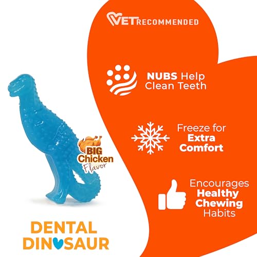 Nylabone Puppy Chew Dental Dinosaur Dog Chew Toy, Chicken Flavor, Small - color: Dinosaur, size: Small