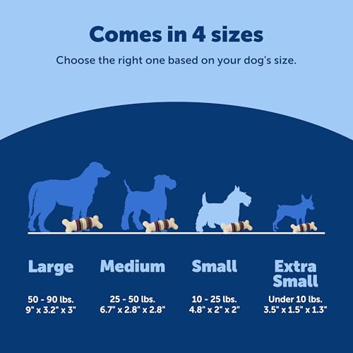 PetSafe Busy Buddy Bristle Bone Dog Treat Holding Chew Toy, Small - size: Small, style: Bristle Bone