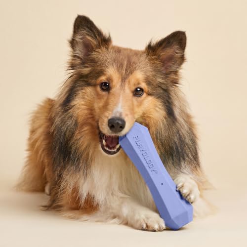 Playology Squeaky Chew Stick - Scented Dog Toy - Medium, Blueberry Scent - size: Medium, style: Blueberry