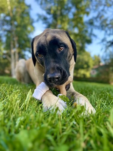 Nylabone Strong Chew Marshmallow Stick Dog Chew Toy, Large - size: Large