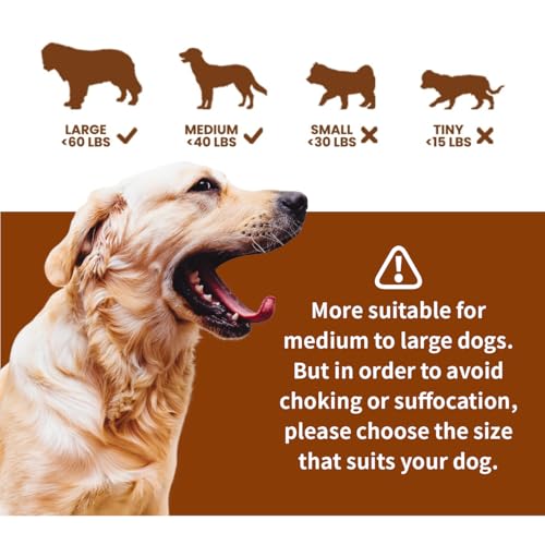 LaRoo Squeaky Dog Ball Toy, Durable Natural Rubber Squeaker Ball Floating Throwing Training, Teeth Cleaning Chew Toy for Pet Small Medium Large Dogs (3.5In Orange) - color: Orange-9cm