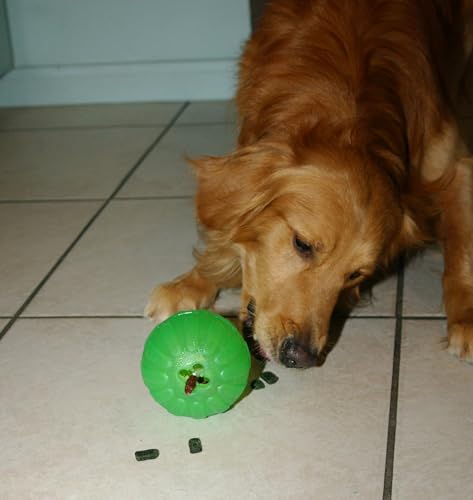 Treat Dispensing Chew Ball, Large - size: Large