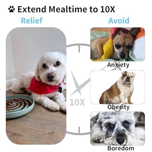 Bifeaw Slow Feeder Dog Bowls, Dishwasher Microwave Safe Silicone Puppy Puzzle Bowl with Non-Slip Design for Eating (Grey Green) - color: Grey-green