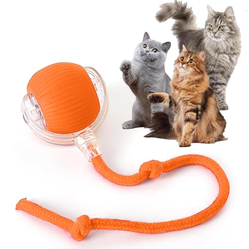 Rocfish Durable Interactive Cat Toys for Indoor Cats (Orange, 01) - color: Orange01, size: 01