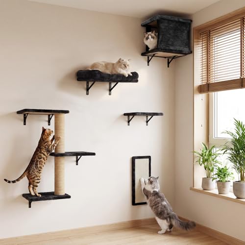 5-in-1 Cat Wall Shelves for Large Cats, Floating Climber with Scratcher - color: Black