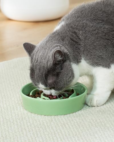 TRUVIC Ceramic Slow Feeder Dog Bowls Small Breed, 0.6 Cup Slow Feeder Cat Bowls for Fast Eaters, Ceramic Dog Food Dish no Black Chin, Puzzle Bowl for Small Dogs and Cats, Green - color: 04-Green, size: S-0.6 Cups