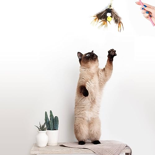 Cat Insect Feather Toys Replacement Cat Toy Wand Refills, 6 Pieces Natural Insect Cat Toy Feathers Refill, Interactive Cat Teaser Wand Attachments, with Bell - color: Style 1
