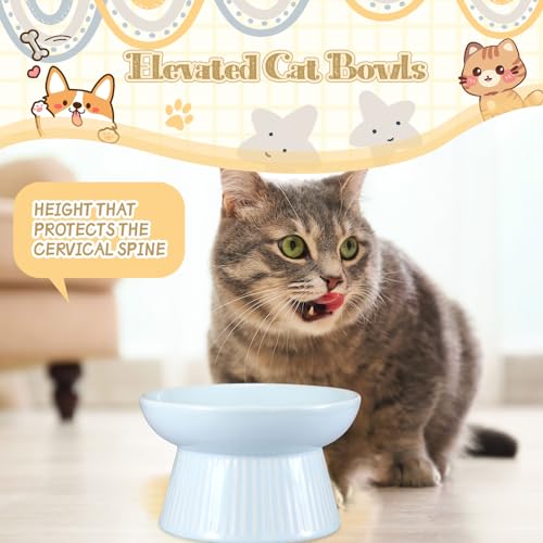 Layhit 2 Pack Raised Slow Feeder Cat Bowls Ceramic Elevated Cat Food Bowls Anti Vomiting Slow Feeder for Dog and Kitten for Dry and Wet Food(Blue, Pink) - color: Blue, Pink
