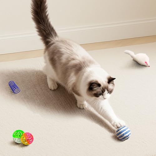 Cat Toys for Indoor Cats, 34 Pack Interactive Cat Toy Set for Kitten - size: 34 Packs