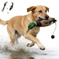 Duck Decoys, 2‑Pack Hunting Dog Bumper Set