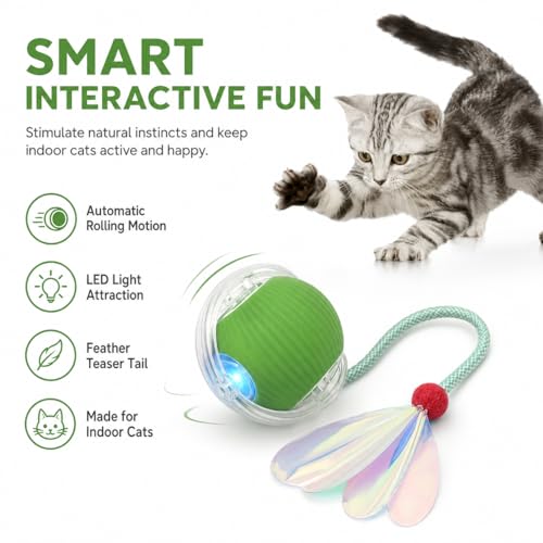 Interactive Cat Toy Ball with LED Lights – USB-C Rechargeable Automatic Cat Toy with Feather Tail for Indoor Cats & Kittens, Upgraded Version - color: Green ball