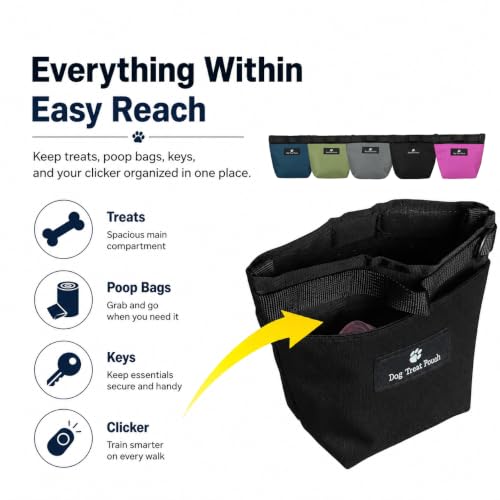 Dog Treat Pouch for Training, Magnetic Closure, Hands-Free (Gray) - color: Grey