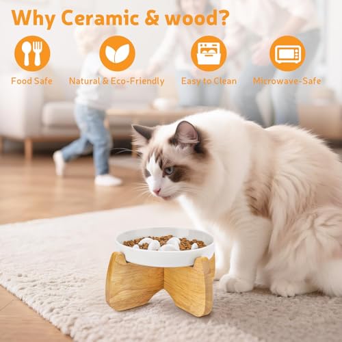 Raised Ceramic Slow Feeder Cat Bowl 6.3" Wide with Stand (1 Pack) - color: Raised Slow Feeder Bowl (1 Pack)