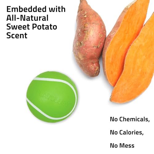 Playology Squeaky Chew Ball Dog Toy - Jumbo, Sweet Potato Scent - size: Jumbo, style: Sweet Potato