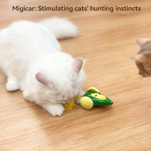 Migipaws cat Toy, Automatic Interactive Migicar Toy Like a Mouse, Intelligent Programme, Rechargeable Kitten Toy - style: Green