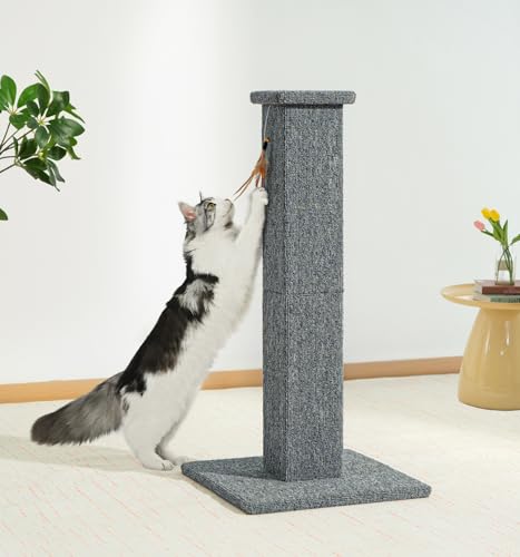 Made4Pets Cat Scratching Post for Indoor Cats, Carpet Cat Scratcher, 32" - color: Grey-Carpet