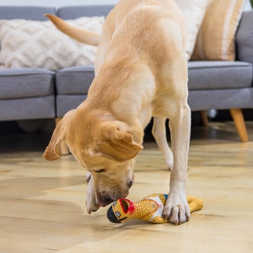 Outward Hound Squawkers Squeaky Latex Dog Toy, Earl, 11.4" - color: Tan, size: Large