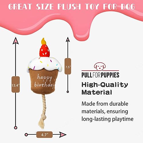 Dog Birthday Toy, Squeaky Birthday Cake Gift for Small Medium Dogs - style: Birthday Cake