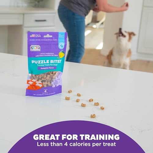 Outward Hound Nina Ottosson Puzzle Bitez Dog Treats, Pumpkin, 7.5 oz - size: 4.69 Pound (Pack of 1), style: Pumpkin