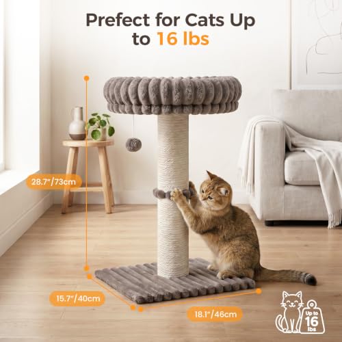 Avont Modern Cloud Cat Scratching Post with Perch for Indoor Adult Cats - color: Taupe