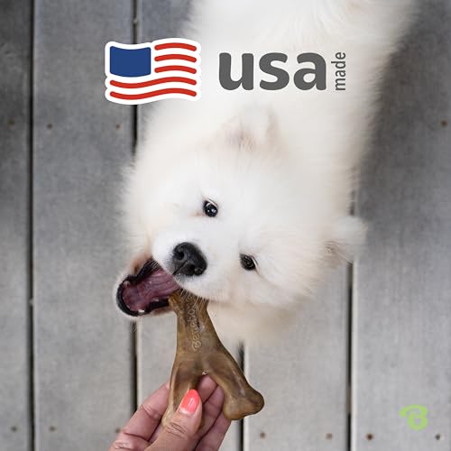 Benebone Wishbone Dog Chew Toy for Aggressive Chewers, Real Bacon, Tiny - size: Tiny