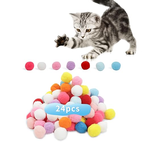 24 Pcs Colorful Pet Balls