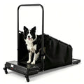 GYMAX Dog Treadmills for Small/Medium Dogs - Pet Runner with Remote, Display Monitor, Adjustable Incline, Shock-Absorbing Belt & Wheels, 3 in 1 Dog Running Machine Walking Pad for Indoor Exercise