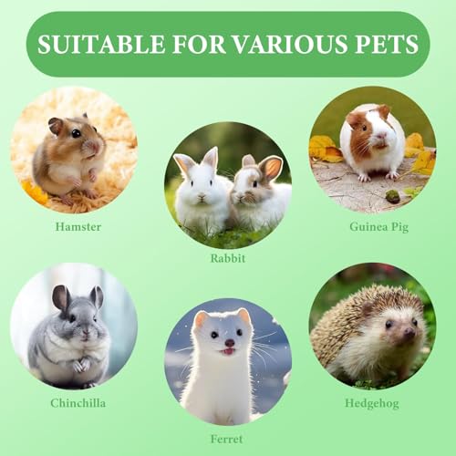 2Pcs Rabbit Foraging Toy with Bell, Snuffle Ball Enrichment Toys