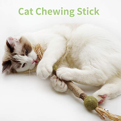 PAZ'S GIFT Catnip Toy Cat Toys Catnip Toy cat chew Toy cat Kicking silvervine Stick Teeth Cleaning Cute Kitten Teething Indoor Interactivecat Dental Care Matatabi (Catnip Balls) - size: Catnip Balls