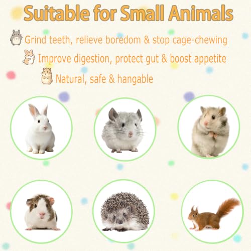 kathson Natural Bunny Toys for Rabbits,4 PCS Hanging Rabbit Chew Toys Treats with Timothy Hay Cakes & Sweet Bamboo Stick,Reduce Boredom,Keep Dental Health,Chewing Toys for Guinea Pigs Bunny Hamster - color: 【Style D】