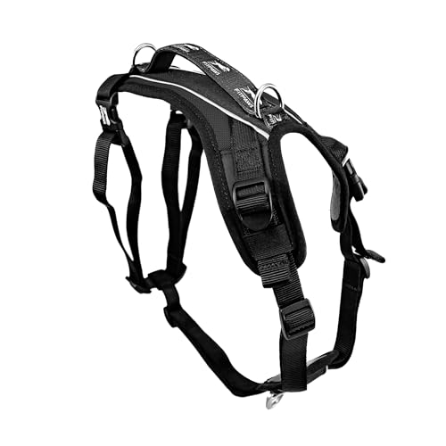 FitPaws® Made to Move® No-Pull Dog Harness, Neck Buckle, Black, Medium - color: Black, size: Medium