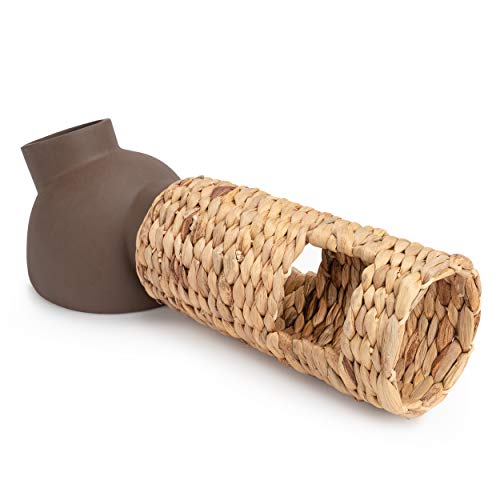 Niteangel Creative & Composable Hamster Tunnel: Edible Water Hyacinth & DIY - size: SHLD