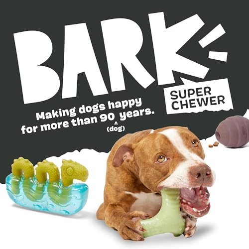 BarkBox Pivot Super Chewer Dog Toy - Toy for Medium Dogs - color: Pivot